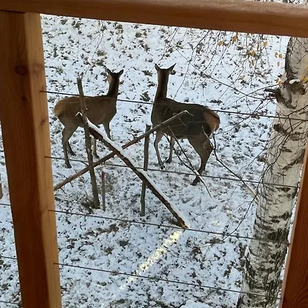 Horská chata Deer Trail