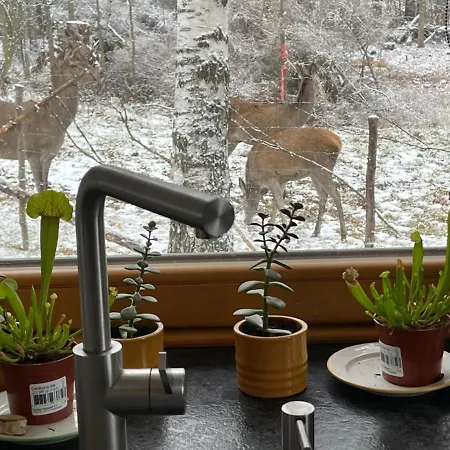 Chalet Deer Trail