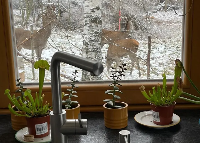 Alpesi faház Deer Trail